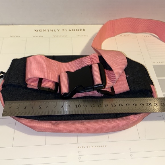 Champ - Picture 3 of 4